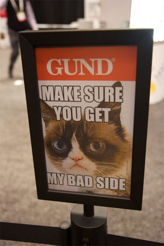 Grumpy cat