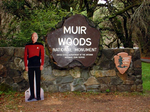 Jean Luc visits Muir Woods